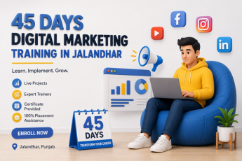 45 days Digital Marketing training in Jalandhar